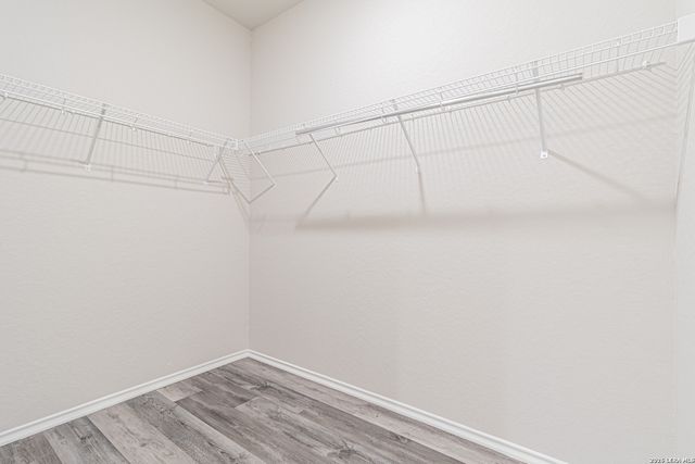 5919 Olson Bluffs, San Antonio, TX 78252