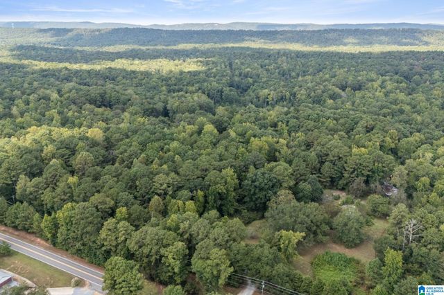 0 GARDNER DRIVE, Chelsea, AL 35043