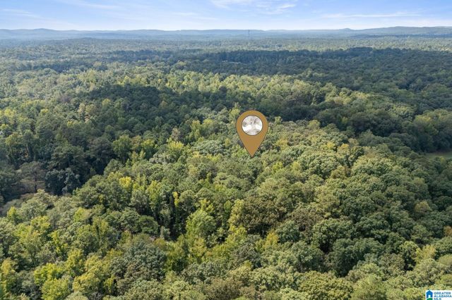 0 GARDNER DRIVE, Chelsea, AL 35043