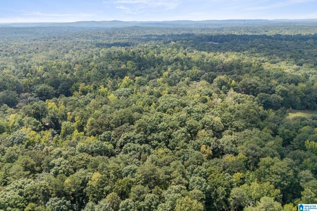 0 GARDNER DRIVE, Chelsea, AL 35043