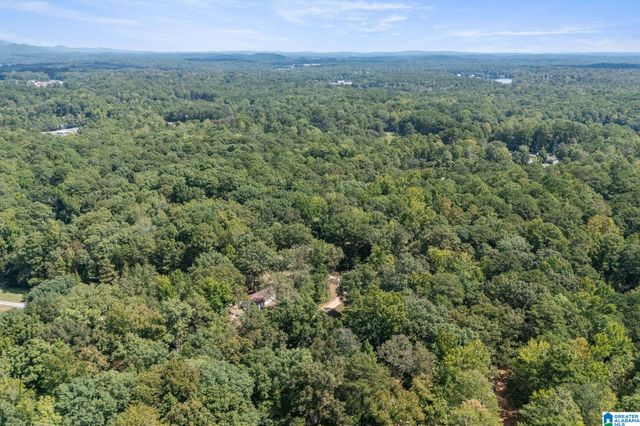 0 GARDNER DRIVE, Chelsea, AL 35043