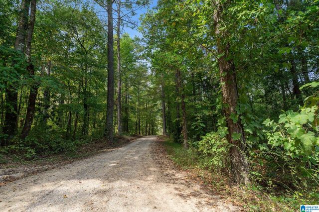 0 GARDNER DRIVE, Chelsea, AL 35043