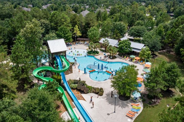 208 S Empress Green Place, Montgomery, TX 77316