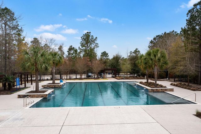 208 S Empress Green Place, Montgomery, TX 77316