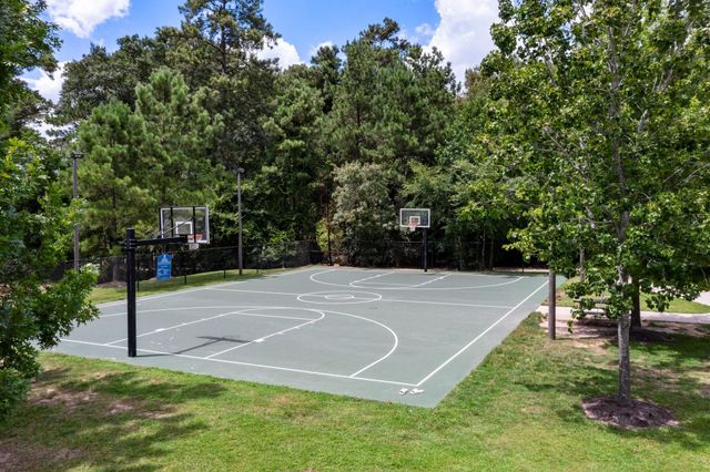 208 S Empress Green Place, Montgomery, TX 77316