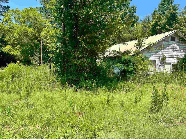 8413 N FM 2658, Tatum, TX 75691