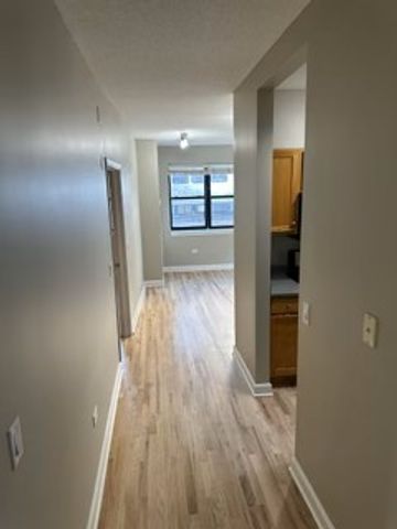 1529 S State Street 4B, Chicago, IL 60605