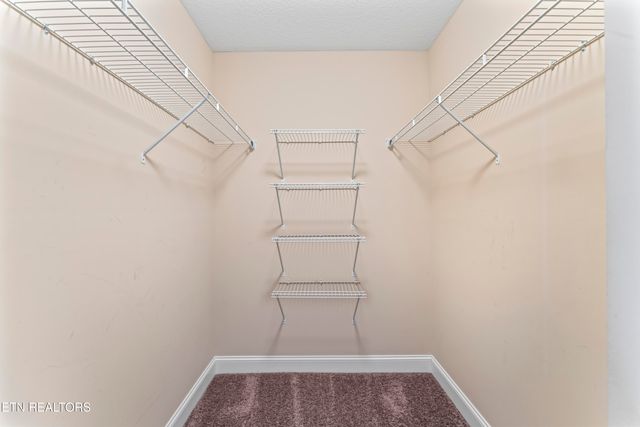 6313 McMillan Creek Drive, Knoxville, TN 37924