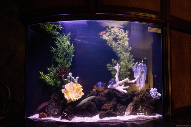 3921 Ocean Front Walk, San Diego, CA 92109