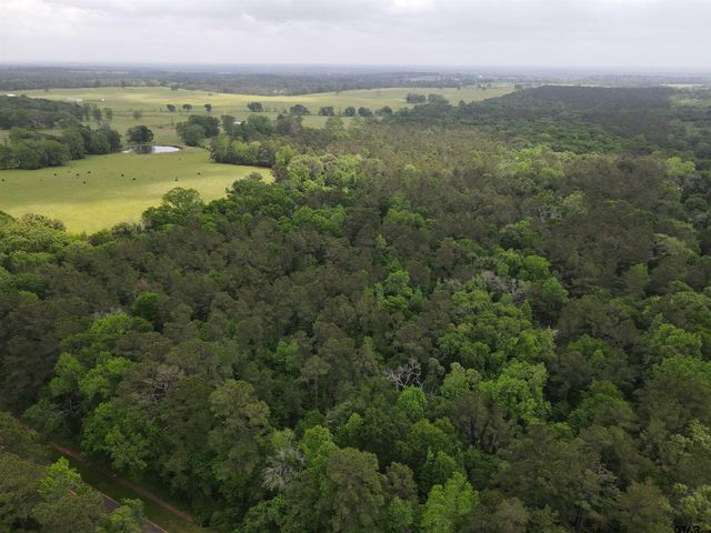 TBD FM 2110, Crockett, TX 75835