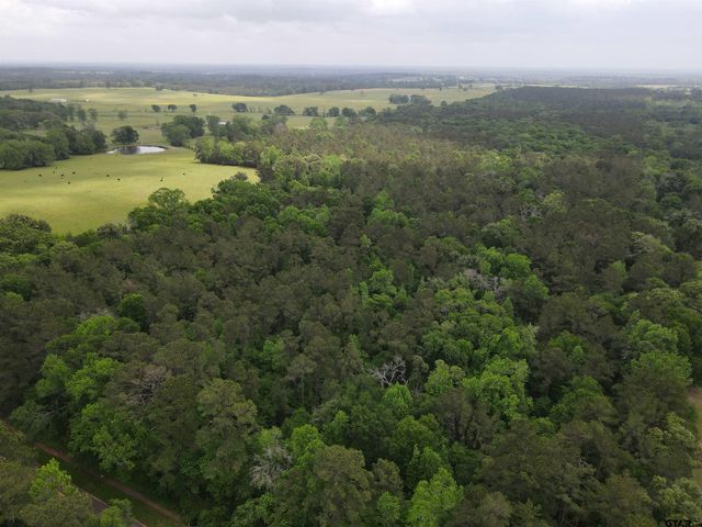TBD FM 2110, Crockett, TX 75835