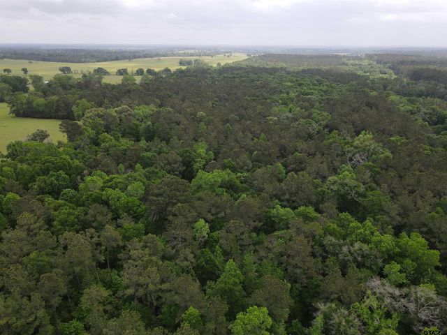 TBD FM 2110, Crockett, TX 75835