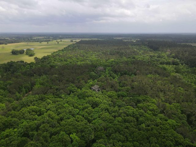 TBD FM 2110, Crockett, TX 75835