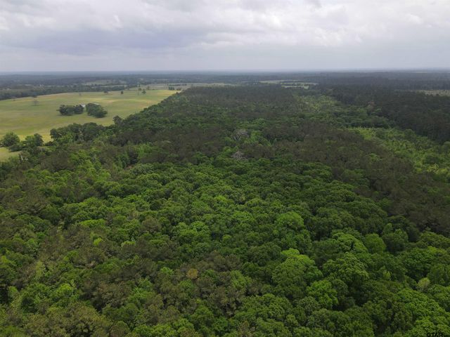 TBD FM 2110, Crockett, TX 75835