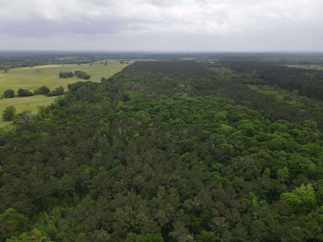 TBD FM 2110, Crockett, TX 75835