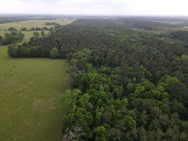 TBD FM 2110, Crockett, TX 75835