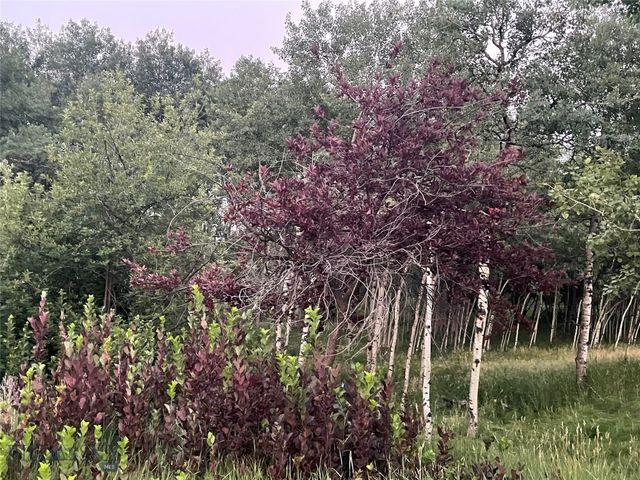 1918 Spring Creek Drive, Bozeman, MT 59715