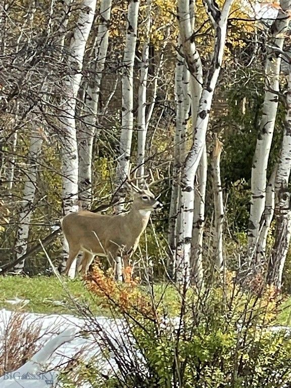 1918 Spring Creek Drive, Bozeman, MT 59715 photo 67