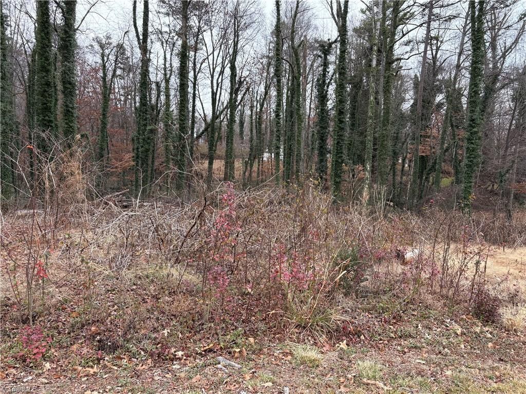 0 Chesapeake Drive, Rural Hall, NC 27054