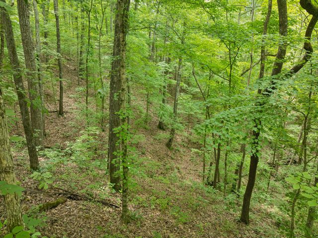 228 Rack Rd, Bon Aqua, TN 37025