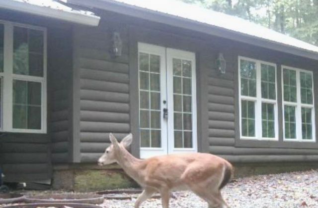 228 Rack Rd, Bon Aqua, TN 37025