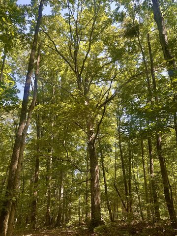 228 Rack Rd, Bon Aqua, TN 37025