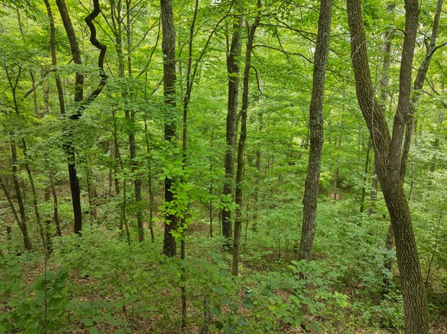 228 Rack Rd, Bon Aqua, TN 37025