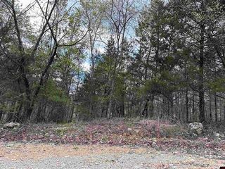 Dovewood Lane, Flippin, AR 72634