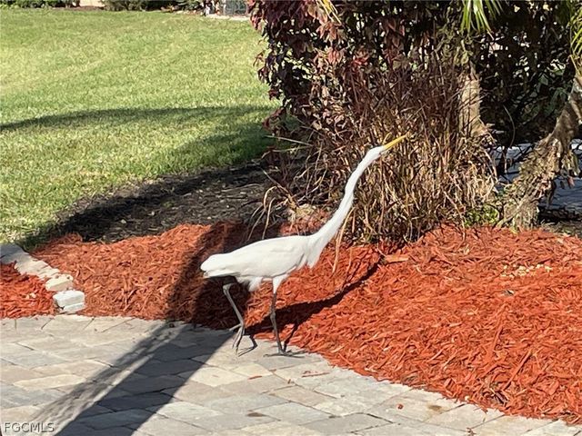 Lot 260 3010 Gray Eagle PKWY, Labelle, FL 33935