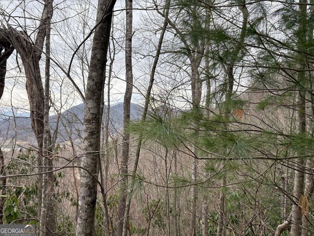 0 Colchester Lane, Mountain City, GA 30525