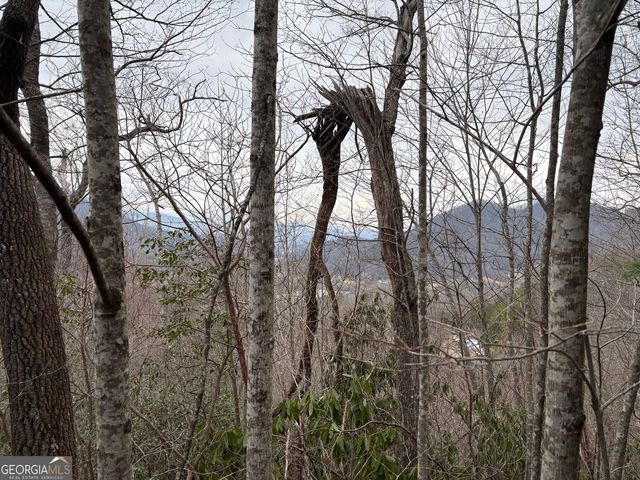 0 Colchester Lane, Mountain City, GA 30525