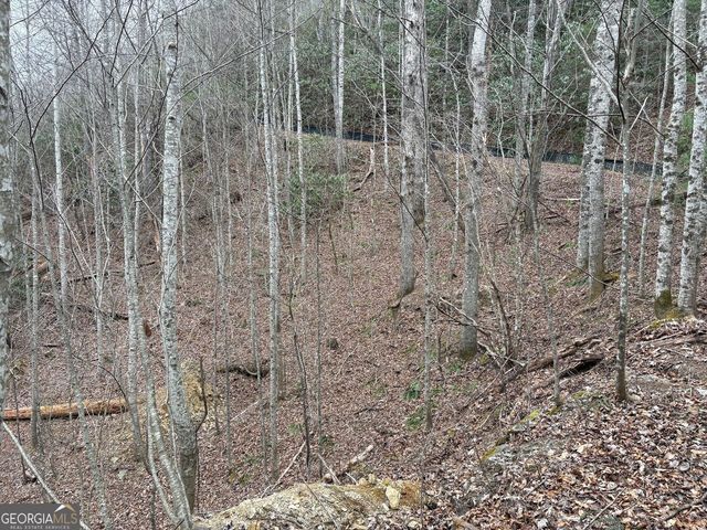 0 Colchester Lane, Mountain City, GA 30525
