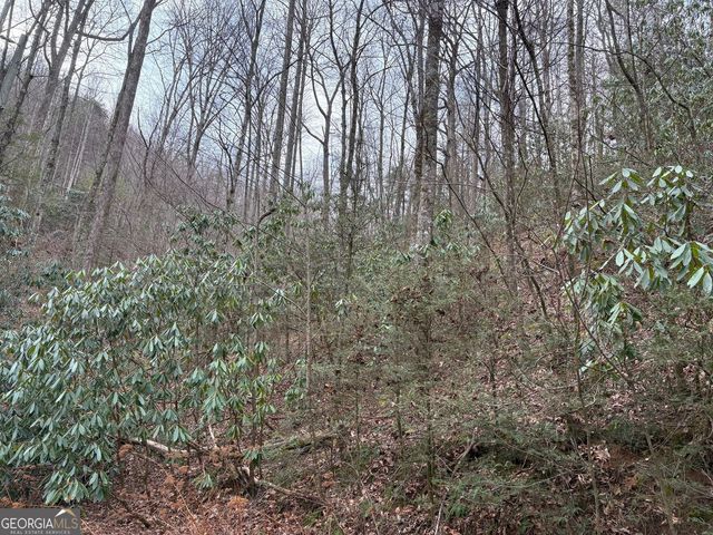0 Colchester Lane, Mountain City, GA 30525