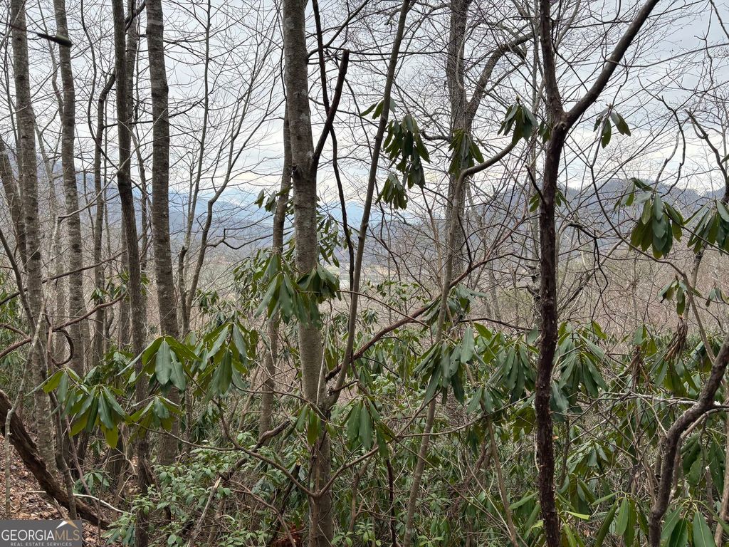 0 Colchester Lane, Mountain City, GA 30525