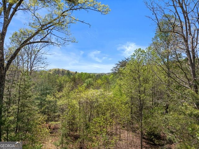 327 Dancing Trees Trail, Morganton, GA 30560