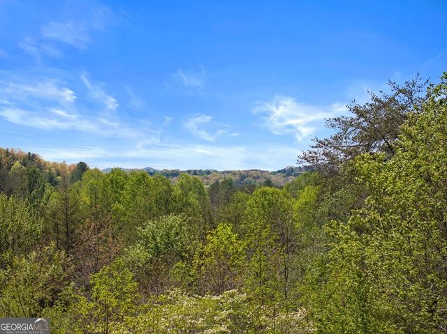 327 Dancing Trees Trail, Morganton, GA 30560