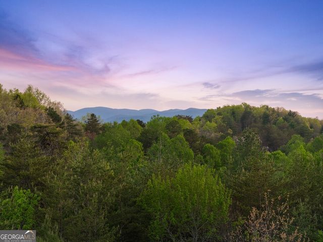 327 Dancing Trees Trail, Morganton, GA 30560