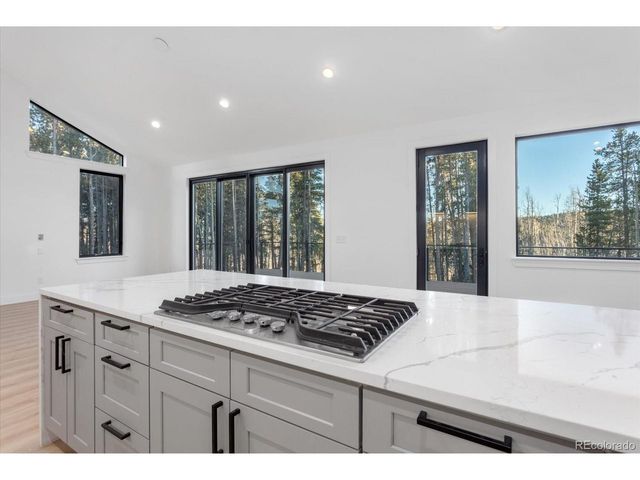 472 Vots Dr, Fairplay, CO 80440