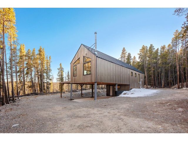 472 Vots Dr, Fairplay, CO 80440