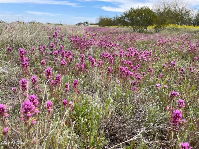 14747 W SCORPIO Avenue, Eloy, AZ 85131