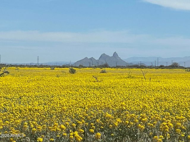 14747 W SCORPIO Avenue, Eloy, AZ 85131