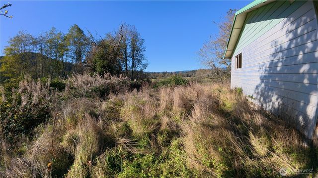 105 E Valley Road, Skamokawa, WA 98647