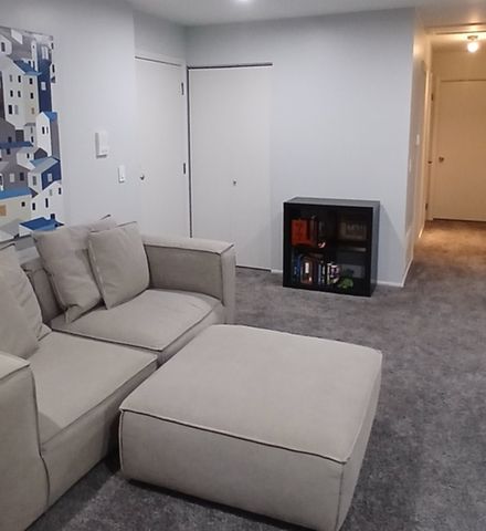 373 Ferndale Court C2, Schaumburg, IL 60193