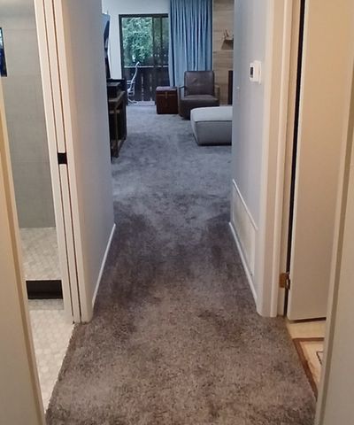 373 Ferndale Court C2, Schaumburg, IL 60193