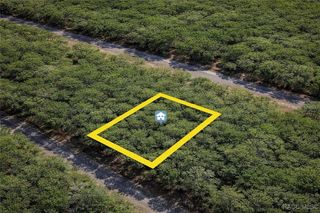 1650 E Badger Drive, Dunnellon, FL 34434