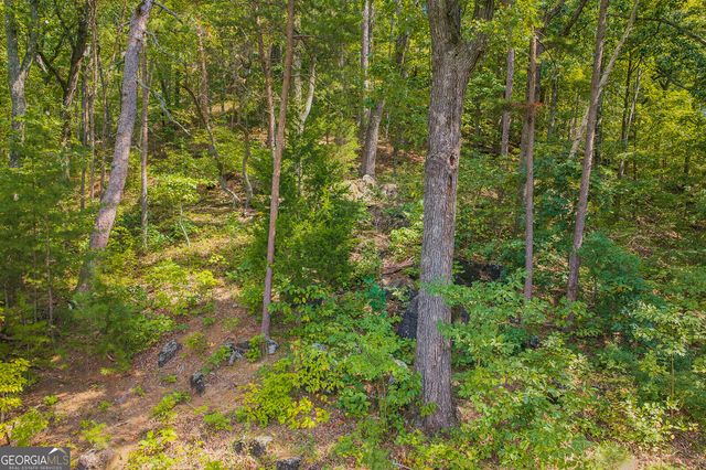 104 Hopewell Drive, Ranger, GA 30734
