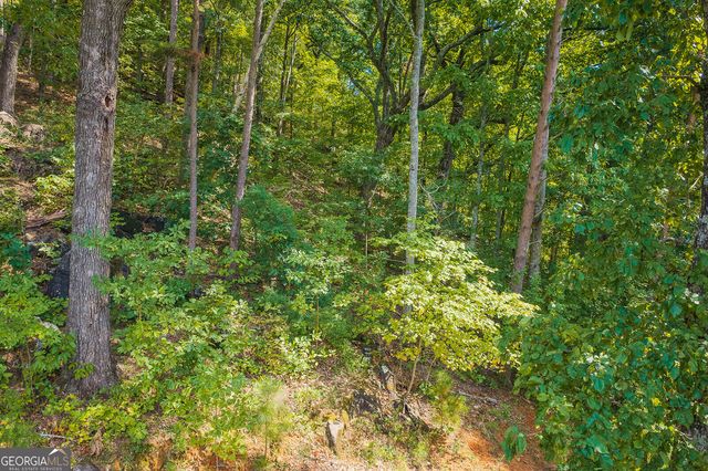 104 Hopewell Drive, Ranger, GA 30734