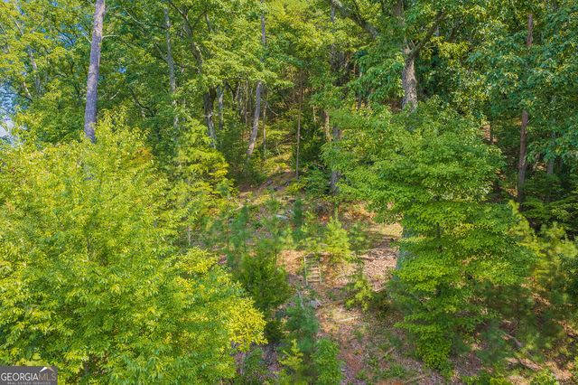 104 Hopewell Drive, Ranger, GA 30734