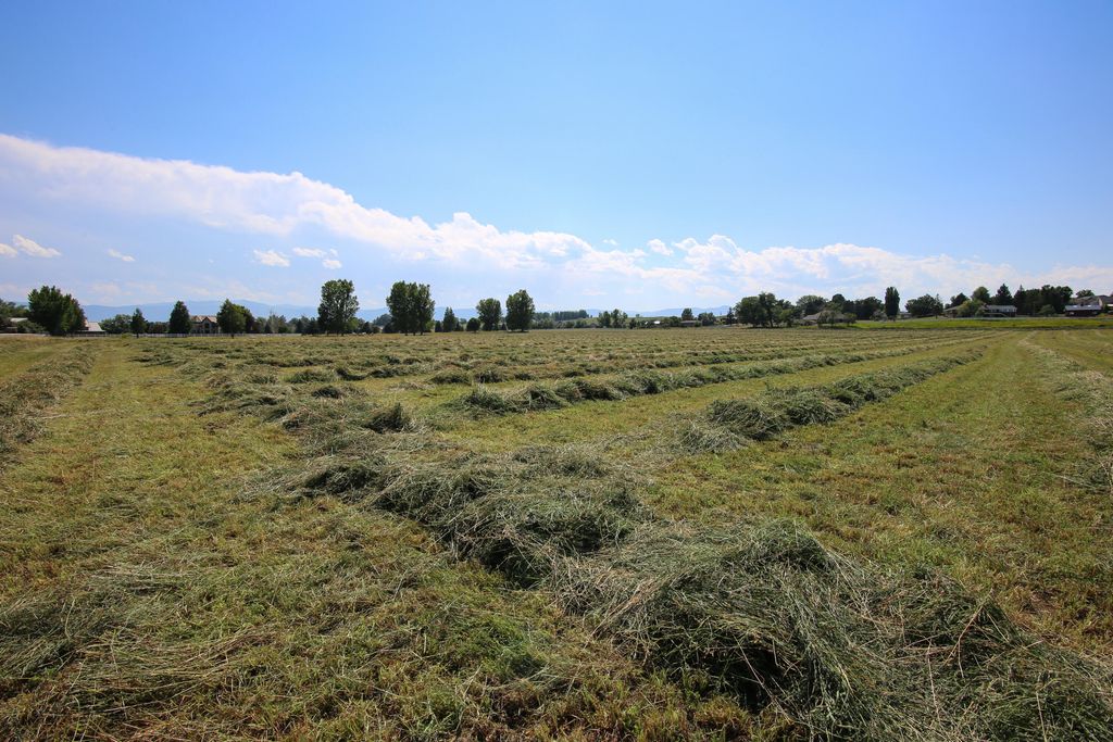 Address unavailable. photo 8