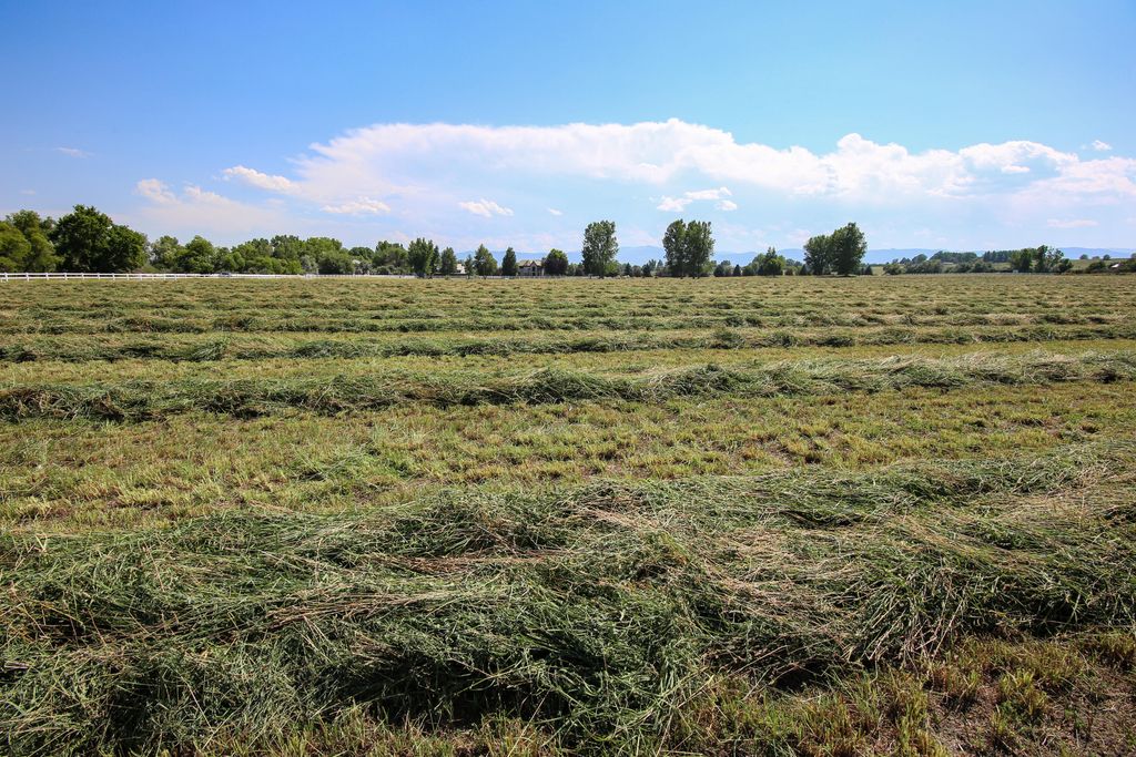 Address unavailable. photo 9